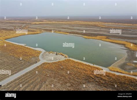  Le Parc des Sports d'Urumqi: Un Oasis Vert au Coeur du Désert!