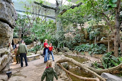 Le Parc Zoologique de Zollinger: Un Oasis Vert et Ludique en Cœur de Zwickau !